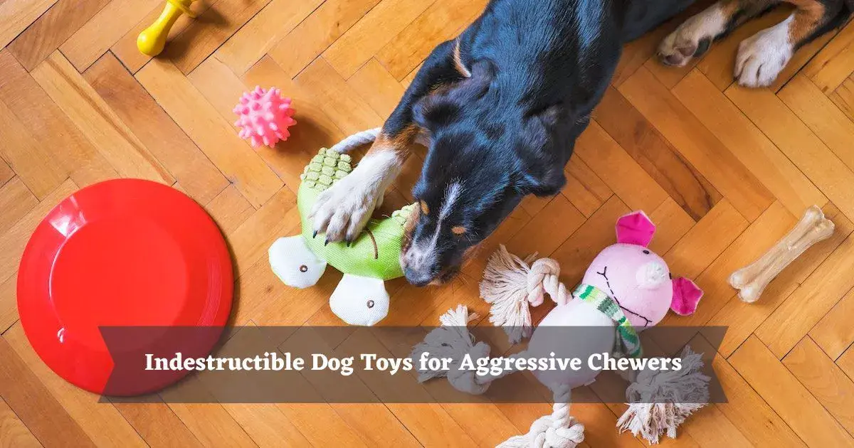Indestructible-Dog-Toys-for-Aggressive-Chewers