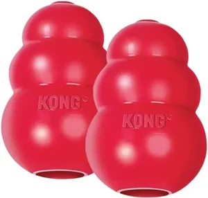 Kong_Classic_Dog_Toy