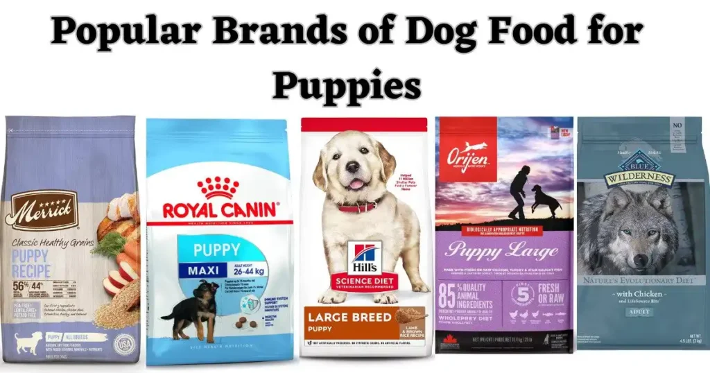 Popular-Brands-of-Dog-Food-for-Puppies