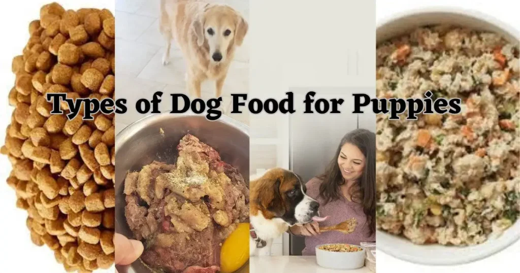 Types-of-Dog-Food-for-Puppies