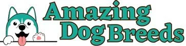 Amazing Dog Breeds