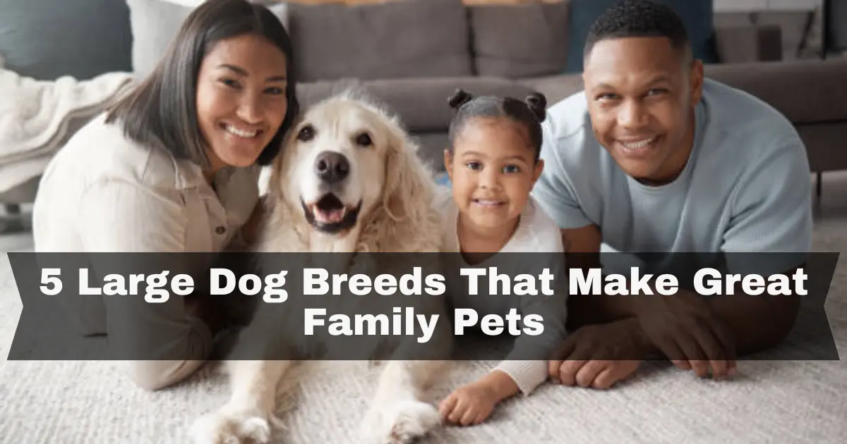 5-Large-Dog-Breeds-That-Make-Great-Family-Pets