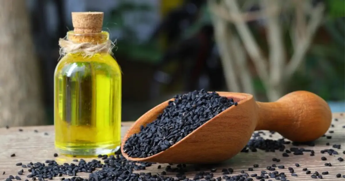 Health Benefits of Black Seed Oil for Dogs